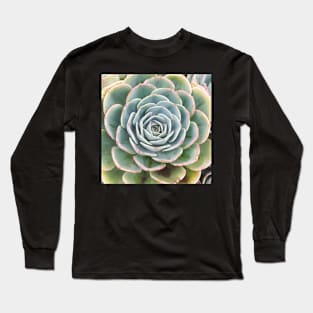 Plant print, Cactus print, Succulent, Scandinavian print, Trendy print, Styled, Pillow, Modern art, Wall art, Print, Minimalistic, Modern Long Sleeve T-Shirt